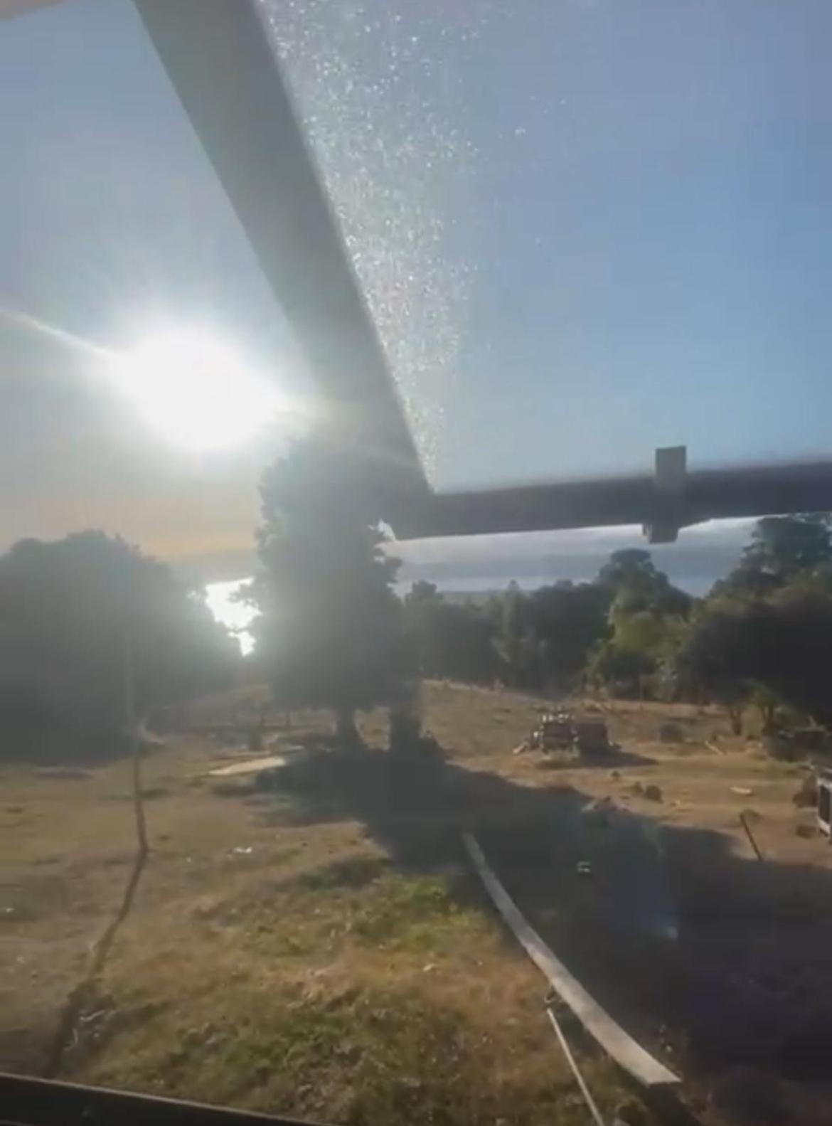 El Vuelo Del Zorzal